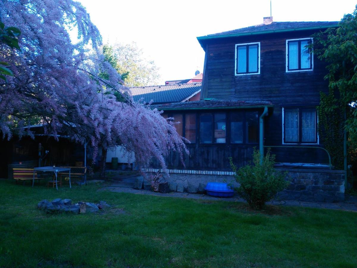Old Summer House With Renovated Bathroom 布拉格 外观 照片
