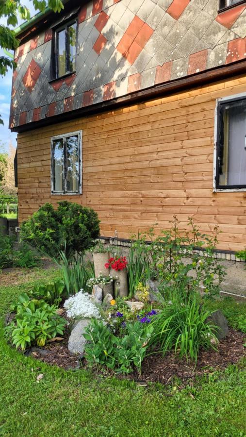 Old Summer House With Renovated Bathroom 布拉格 外观 照片