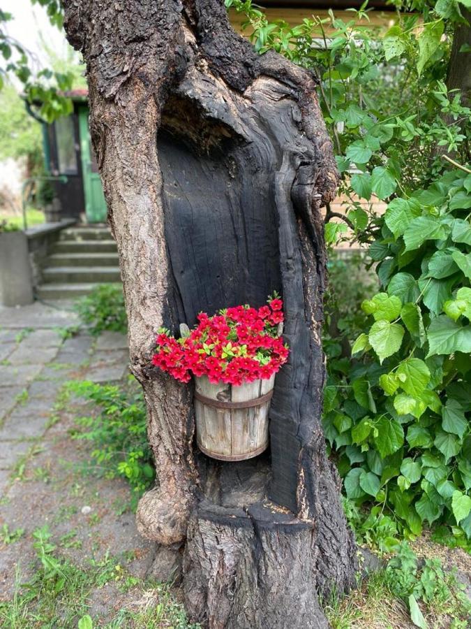Old Summer House With Renovated Bathroom 布拉格 外观 照片